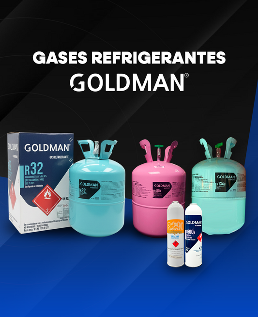 GASES